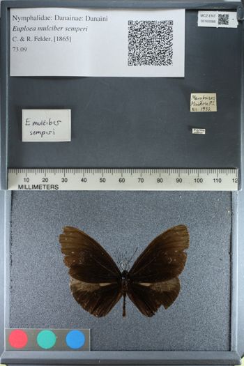 Media type: image;   Entomology 160088